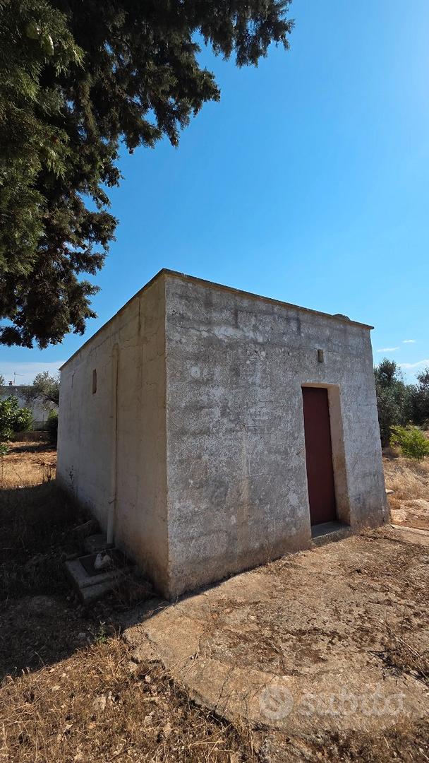 Terreno edificabile con uliveto e fabbricato - Vista 3