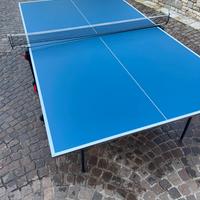 Tavolo da ping pong