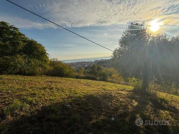 Terreno in parte edificabile