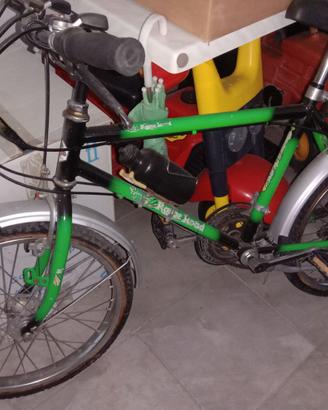 Bici da Bimbo mountain bike