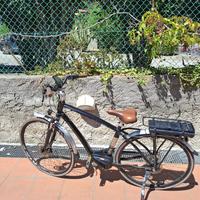 Montana e-lunapiena elettrica, bafang