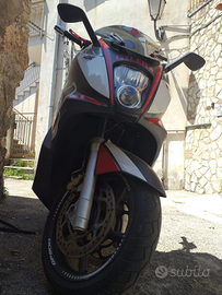 Gp 800 gilera