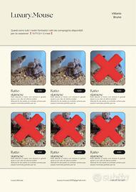 Ratti da compagnia - ritiro Gonzaga 7-8 marzo