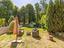Immagine 24