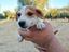 Immagine 1