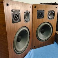 casse acustiche diffusori GOLDEN VOICE 253 export