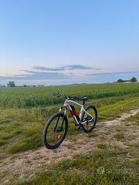 E-mtb Rockrider E st 100
