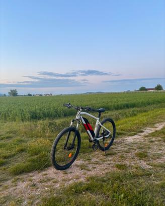 E-mtb Rockrider E st 100