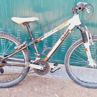 Bicicletta KTM ragazzo