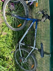 Bici bimbo e uomo