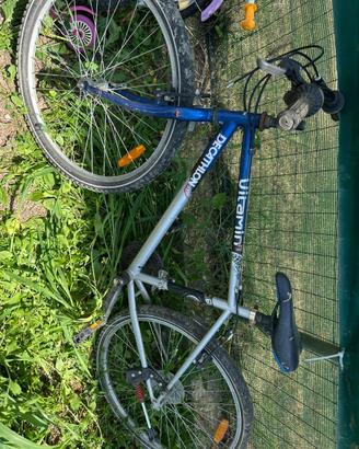 Bici bimbo e uomo