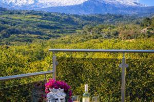 Casa Vacanze con Jakuzzi vista Etna, Relax, Mare