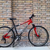 mountain bike ragazzi 9-14 anni