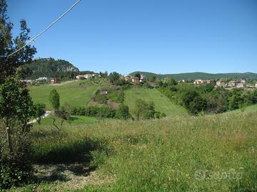 Terreno Agricolo Campobasso [Cod. rif 3203766VCG]