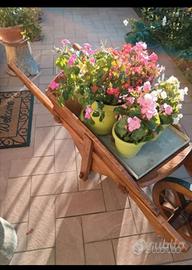 Carriola in legno di castagno