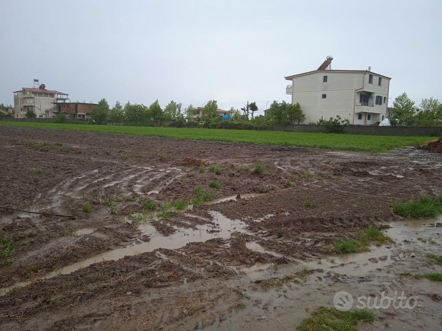 Lushnje - Divjakë, Rr. Çermë e Sipërme - Vista 2