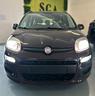 fiat-panda-1-2-lounge