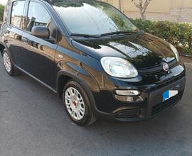 Fiat Panda 1.0 FireFly S&S Hybrid - 2023