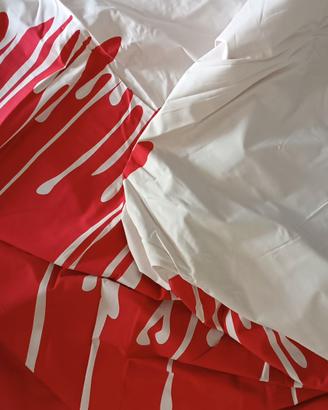 Copripiumino Matrimoniale IKEA Hulda Vilse+Federa