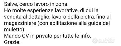 Disponibile da subito.