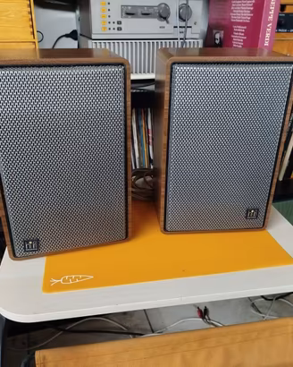 Diffusori Grundig Box 300
