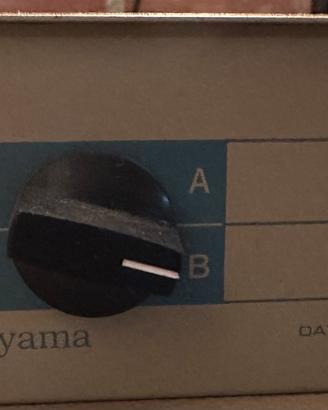 Matsuyama data transfer switch