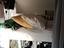 Immagine 6