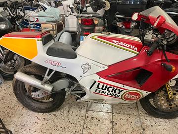 Cagiva mito lucky 7800km conservata