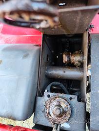 trattorino tagliaerba 