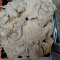 Pura Lana di pecora per cuscini, kg. 2.