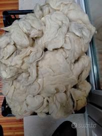 Pura Lana di pecora per cuscini, kg. 2.