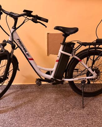 Bicicletta elettrica