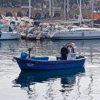 Barca da pesca