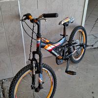 bici da 20 regina ammortizzata 