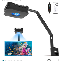 Acquario marino