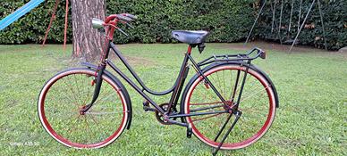 bicicletta da passeggio 