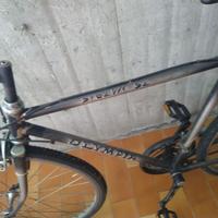 Bicicletta