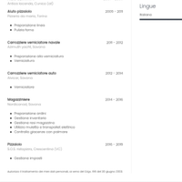 Magazziniere, pizzaiolo, cameriere