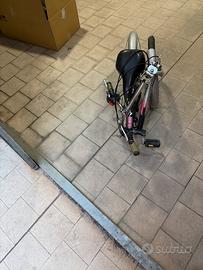 Bicicletta pieghevole Easy 20”