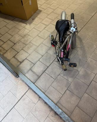 Bicicletta pieghevole Easy 20”