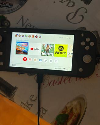 Nintendo switch lite