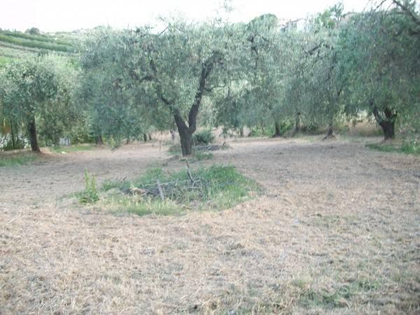 Terreno edificabile a Lanciano