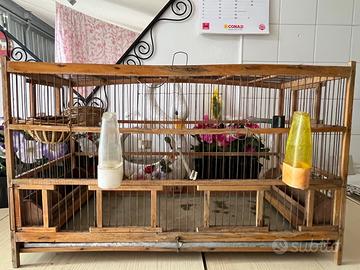 GABBIA PER UCCELLINI