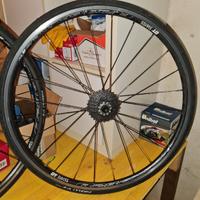 Ruote DTSwiss Bici Strada 