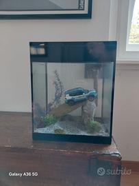 Acquario