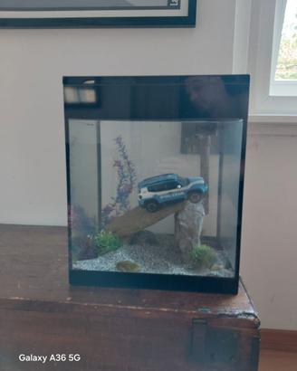 Acquario