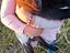 Immagine 4