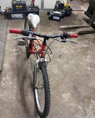 Bici mtb misura 24