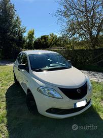 Lancia Ypsilon 1.2 69 CV Start&Stop ELEFANTINO BLU