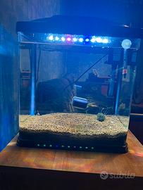 Acquario 30 litri